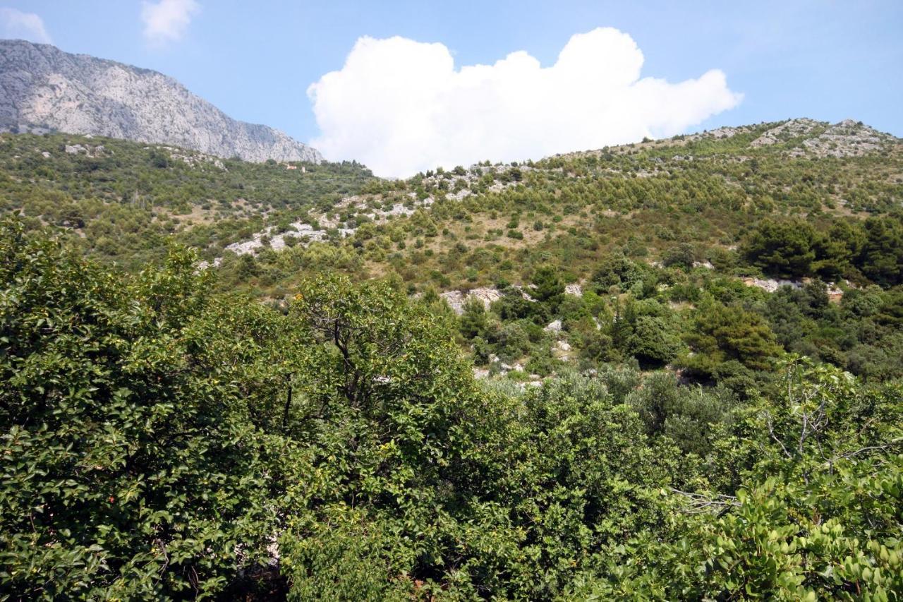 Apartments By The Sea Drvenik Donja Vala, Makarska - 6701 外观 照片